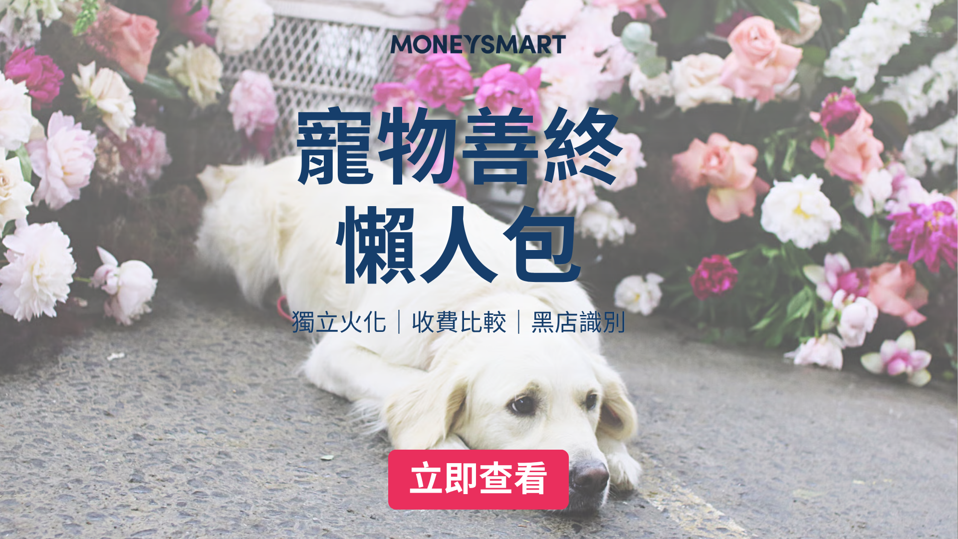 【寵物善終】2026香港收費比較｜獨立火化$900起+黑店識別方法