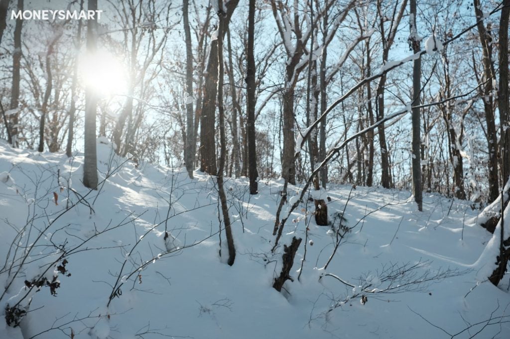 北海道冬天