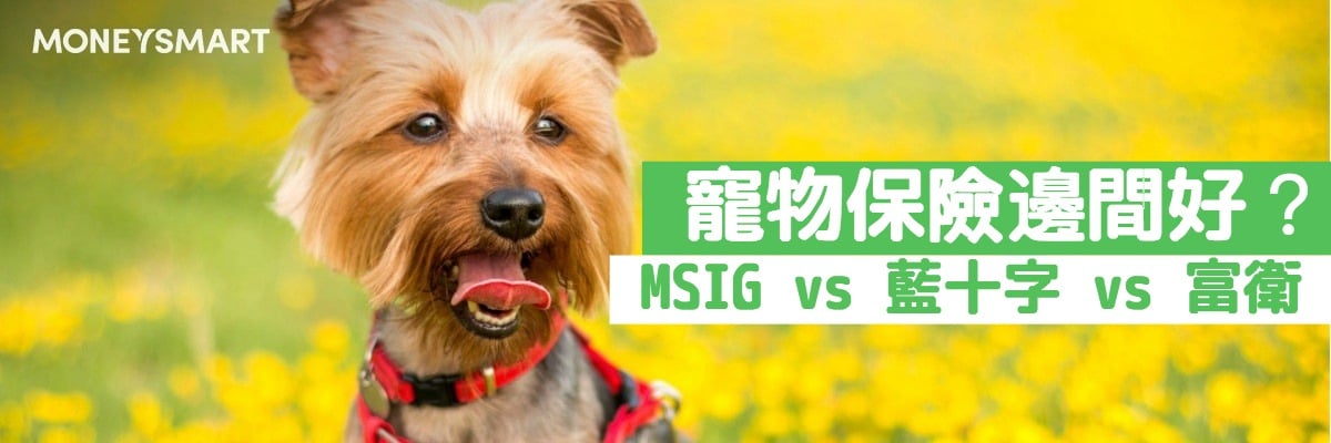 帶狗狗去旅行