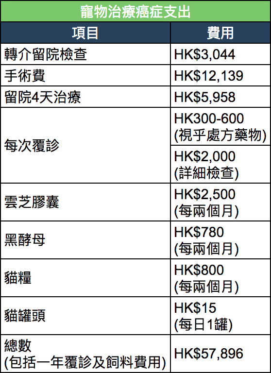 毛孩生病