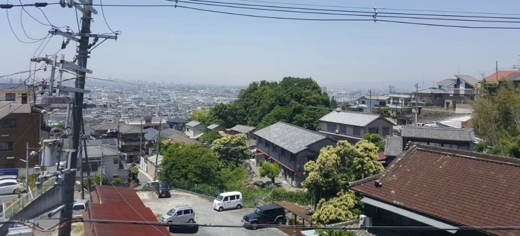 買日本樓