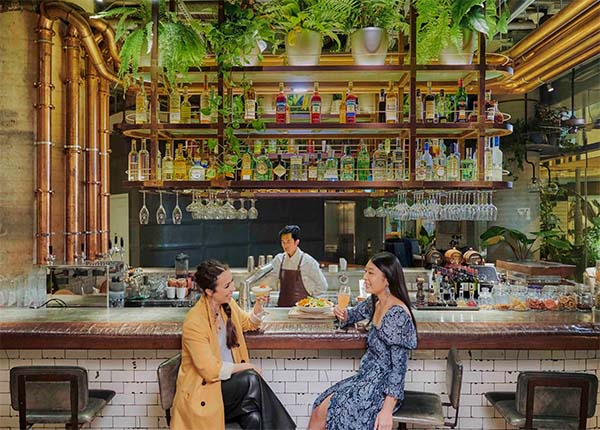 best happy hour bar Mr and Mrs Fox