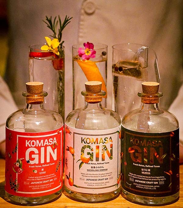 best happy hour bar Dr. Fern’s Gin Parlour