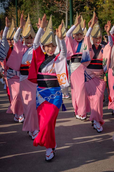 日本夏祭德島市阿波舞祭