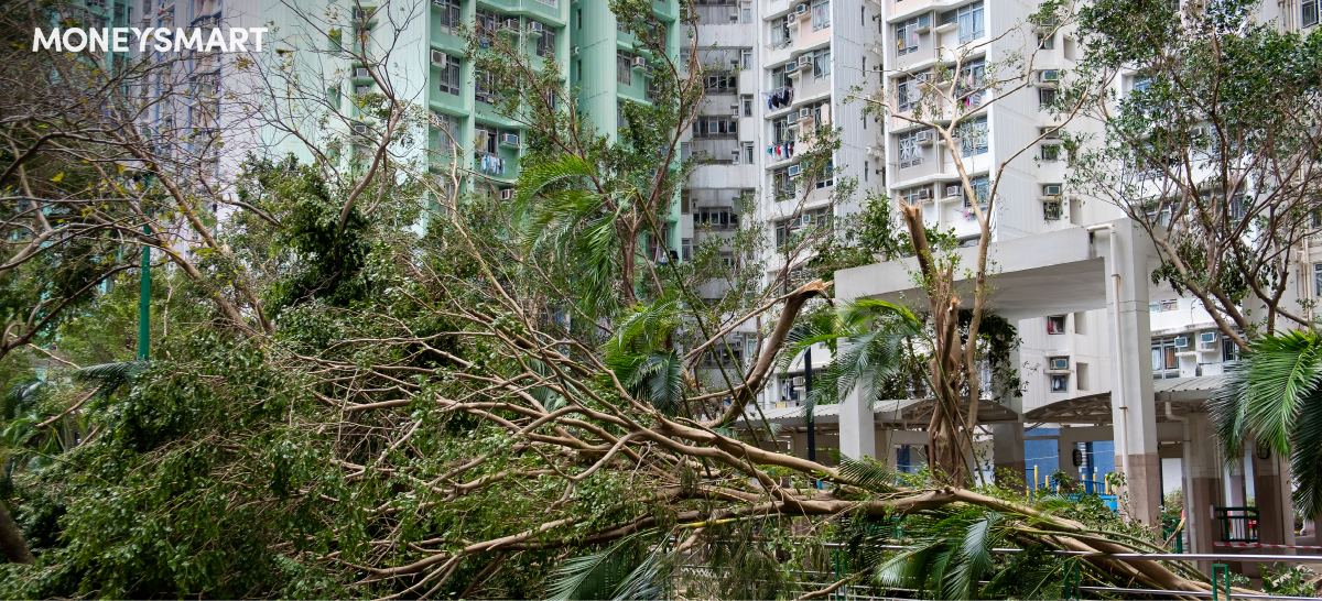 颱風襲港爆窗水浸 家居保險有保障