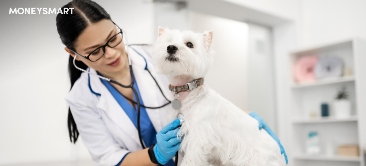 How Much Does A Visit To Vet Cost? Hong Kong Veterinary Service Fee Overview