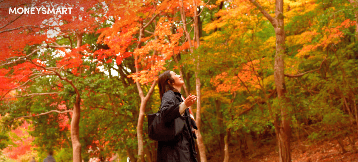 Japan Autumn Leaves: Top Spots and Transportation Guide (Oct 2023)