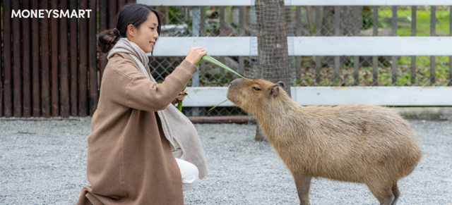 深圳野生動物園親子遊：必玩園區、門票優惠及交通一覧